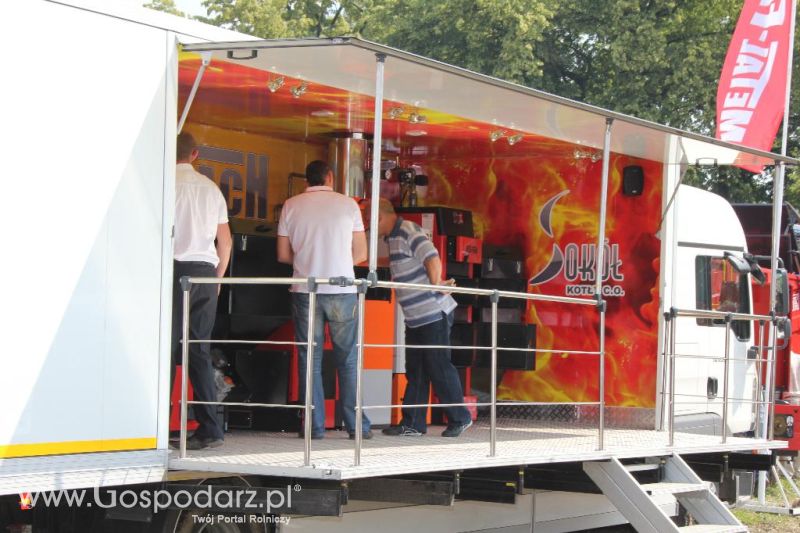 Regionalna Wystawa Zwierząt Hodowlanych i Dni z Doradztwem Rolniczym w Szepietowie-niedziela