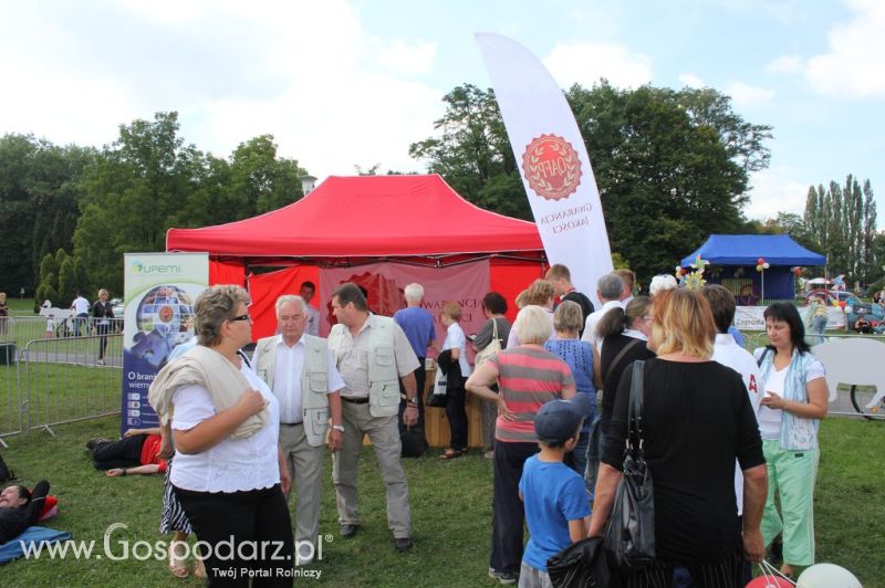 Świętomięs Polski w Chorzowie