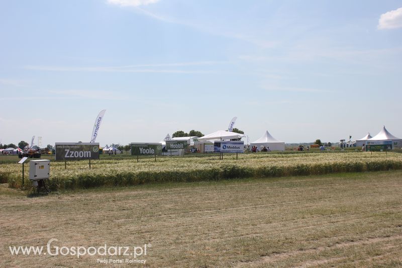 Polskie Zboża 2011 - Sobota