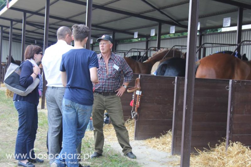 Regionalna Wystawa Zwierząt Hodowlanych i Dni z Doradztwem Rolniczym w Szepietowie-sobota