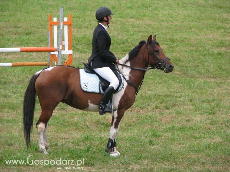 Krajowa Wystawa Ras Rodzimych Rudawka Rymanowska 2012