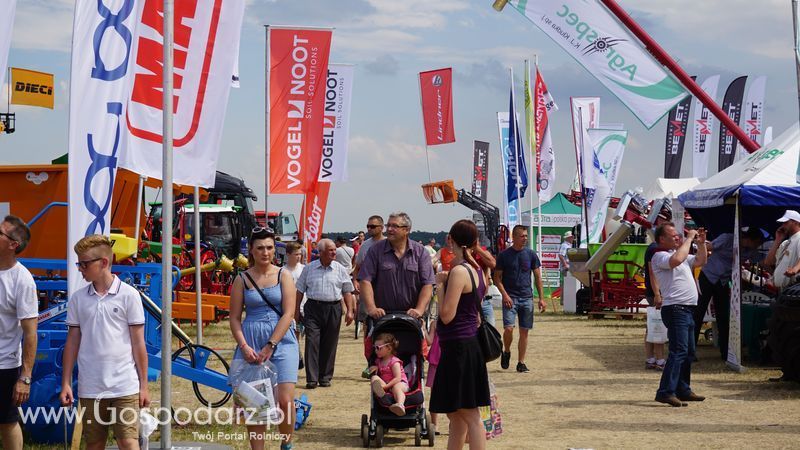 OPOLAGRA 2015 w Kamieniu Śląskim