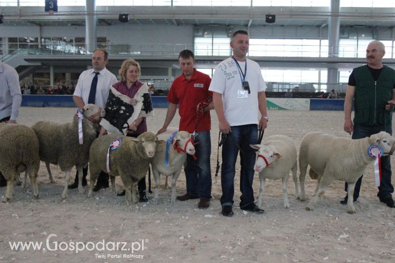 XXVI Krajowa Wystawa Zwierząt Hodowlanych - sobota i niedziela