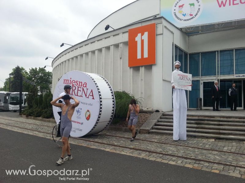 Mięsna Arena 2013 w Poznaniu