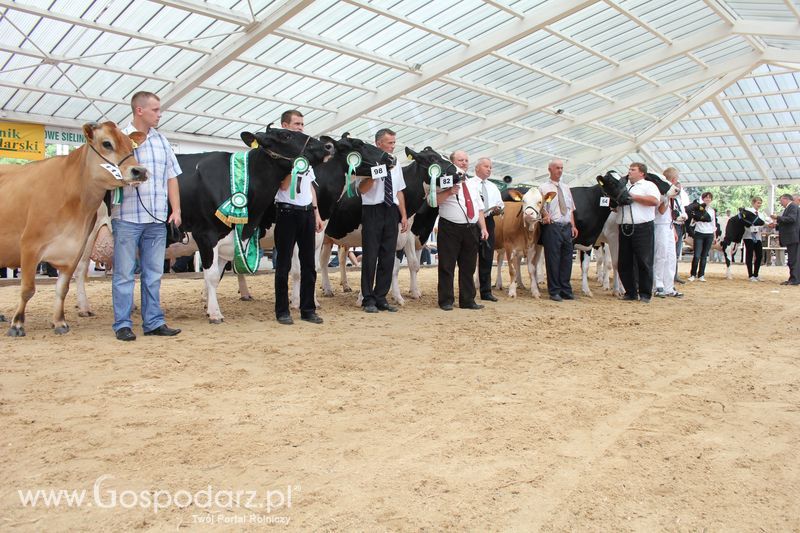 Czempioni XVII Regionalnej Wystawy Zwierząt Hodowlanych Sielinko 2011