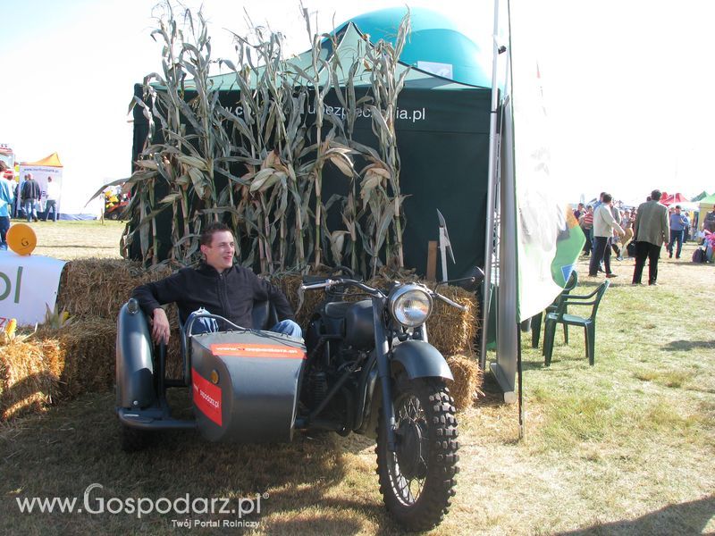 Agro Show 2011 Zdjęcia z Motorem Sobota