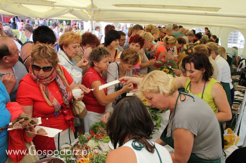 IX Święto Gęsi w Biskupcu