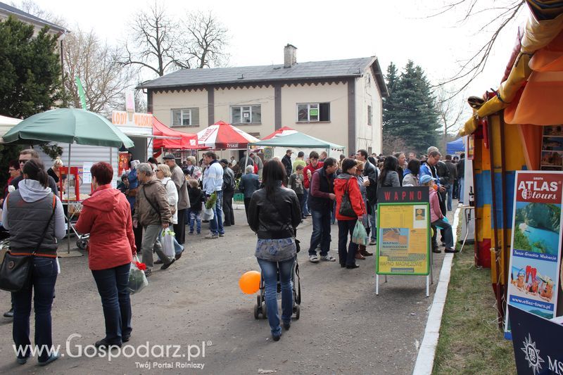 XX Agro-Targi 2011 w Starej Łubiance