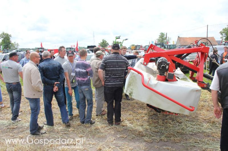 Pokazy polowe Romanów k/Krotoszyna