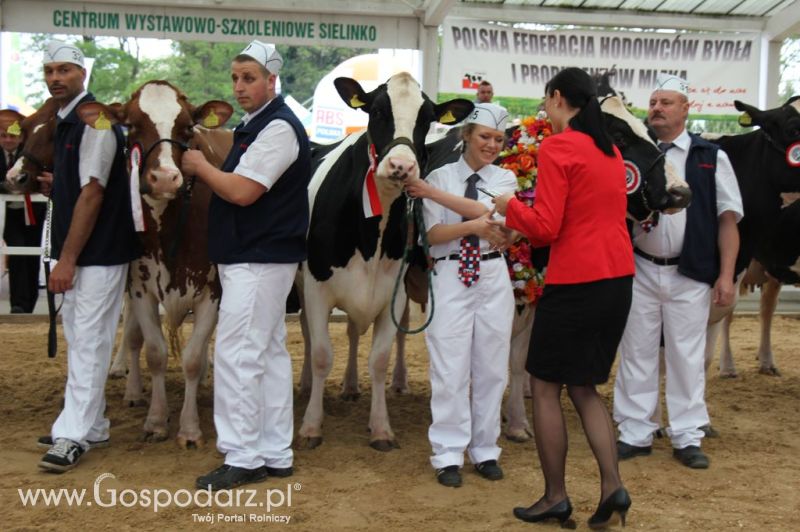 Prezentacja Championów na VII Ogólnopolskiej Wystawie Bydła Hodowlanego w Sielinku 2012