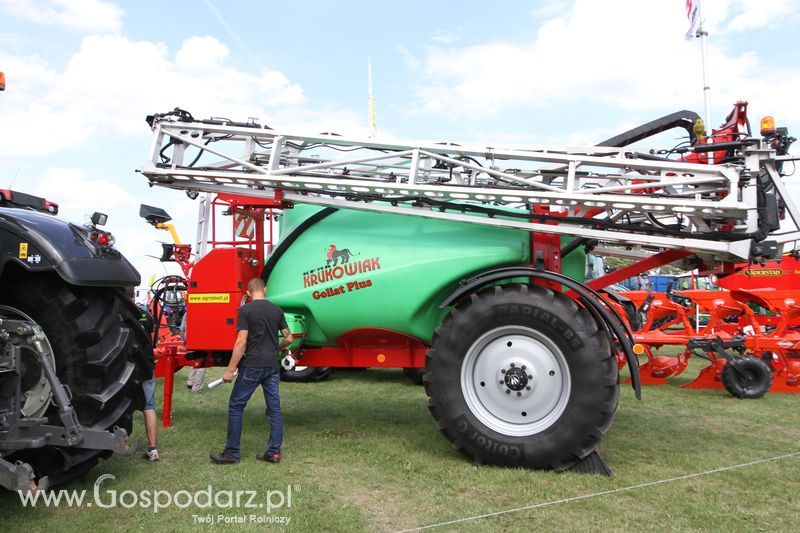 Krukowiak na Agro-Tech w Minikowie 2016