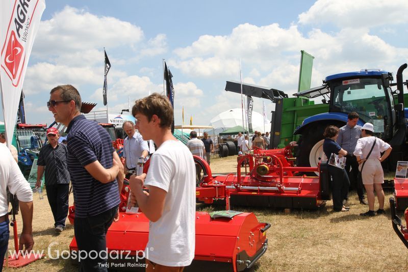 OPOLAGRA 2015 w Kamieniu Śląskim