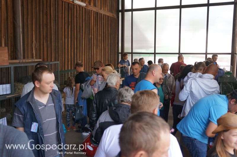 XXII Żuławskie Targi Rolne w Starym Polu