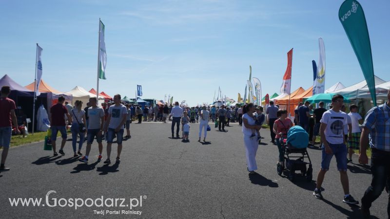 ZIELONE AGRO SHOW 2017 w Ułężu (niedziela, 28 maja)