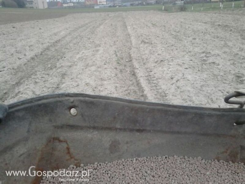Moje zdjęcia
