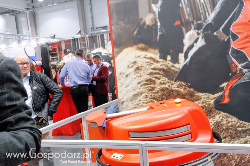 Ferma 2019 dzień 2