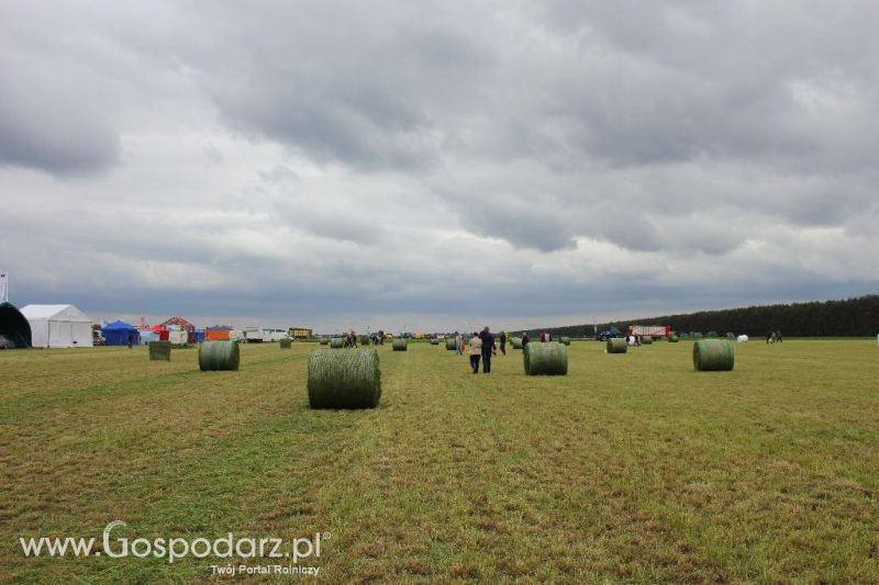 Pokazy maszyn Polskie Zboża Zielone Agro Show 2013