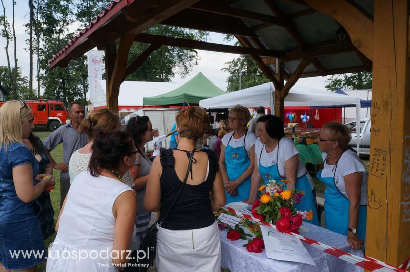 Święto Indyka - Nowa Wieś k. Iławy 26 czerwca 2016