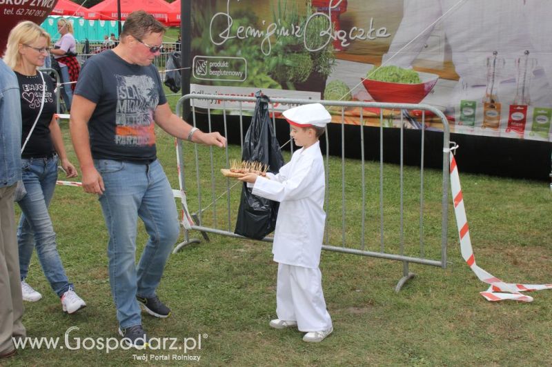 Świętomięs Polski w Chorzowie