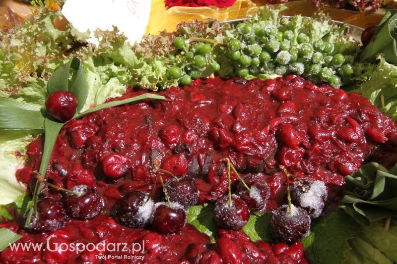 X Święto Gęsi w Biskupcu