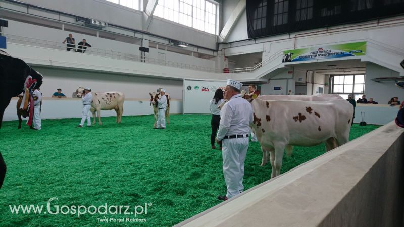 Narodowa Wystawa Zwierząt Hodowlanych 2019