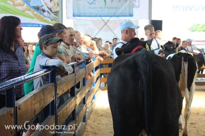 Regionalna Wystawa Zwierząt Hodowlanych i Dni z Doradztwem Rolniczym w Szepietowie-sobota