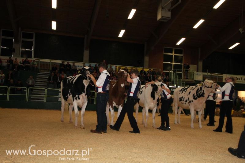 Wystawa  Blickpunkt Rind 2013 w miejscowości Paaren/Glien (Niemcy)