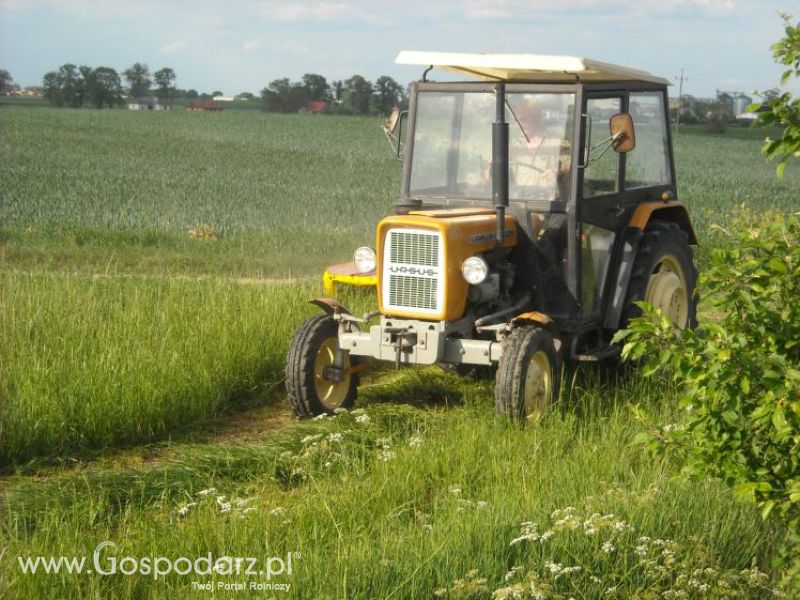 pierwsze sianokosy w roli głownej ursus c330M...