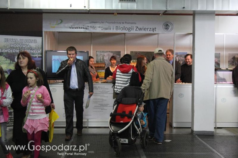 XXVI Krajowa Wystawa Zwierząt Hodowlanych - sobota i niedziela