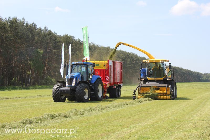 Zielone Agro Show pokaz maszyn rolniczych