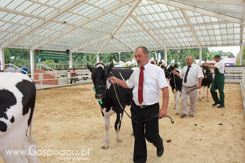 Wystawa bydła Sielinko 2011
