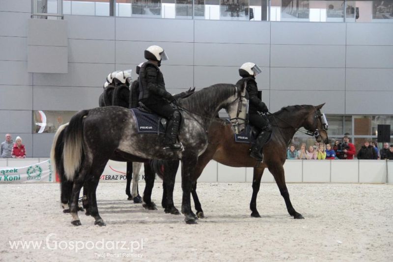 CAVALIADA 2013 w Poznaniu