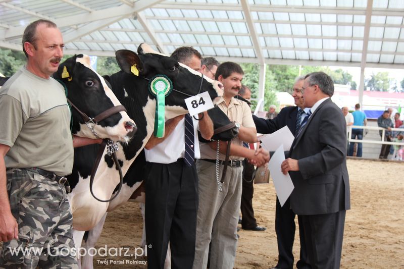 Czempioni XVII Regionalnej Wystawy Zwierząt Hodowlanych Sielinko 2011