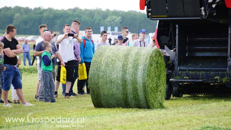 ZIELONE AGRO SHOW 2017 w Ułężu