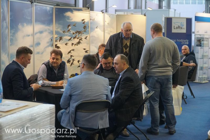 XXXVI Olimpiada Gołębi i Targi Gołębi Pocztowych i Akcesoriów otwarcie - dzień pierwszy