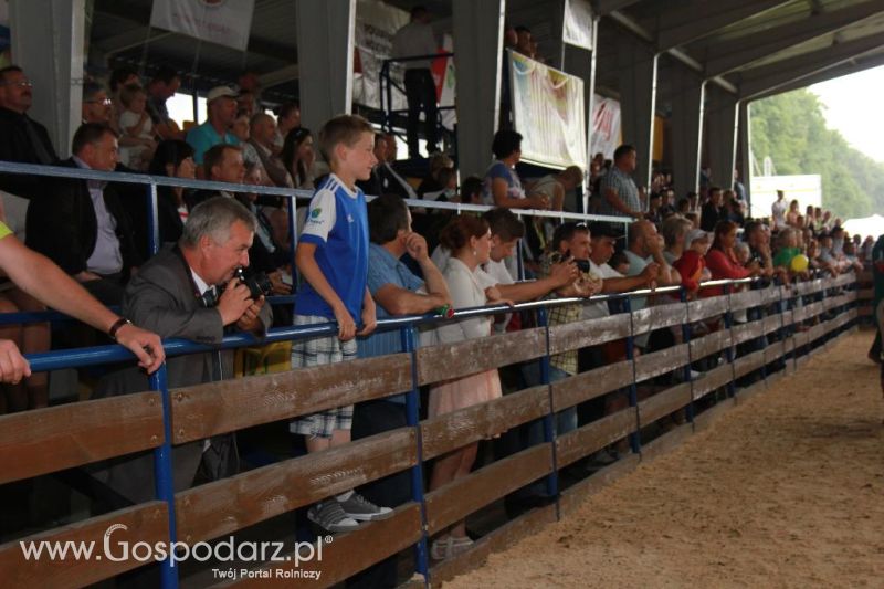 Młody Hodowca - Szepietowo 2013 XX Regionalna Wystawa Zwierząt Hodowlanych