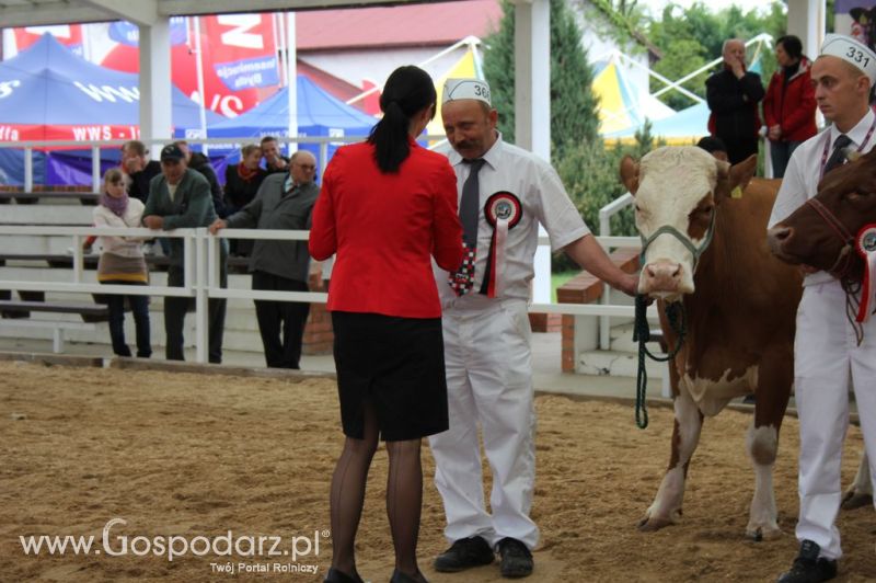 Prezentacja Championów na VII Ogólnopolskiej Wystawie Bydła Hodowlanego w Sielinku 2012