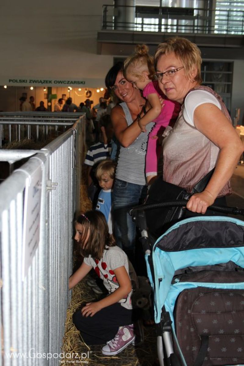 XXV Krajowa Wystawa Zwierząt Hodowlanych Niedziela