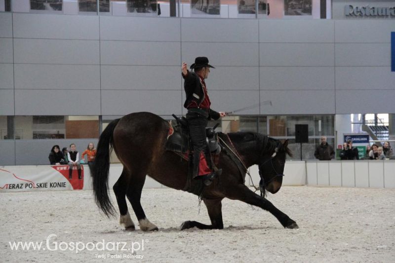 CAVALIADA 2013 w Poznaniu