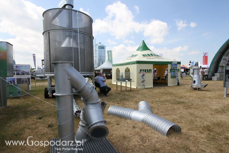 Riela na OPOLAGRZE 2015