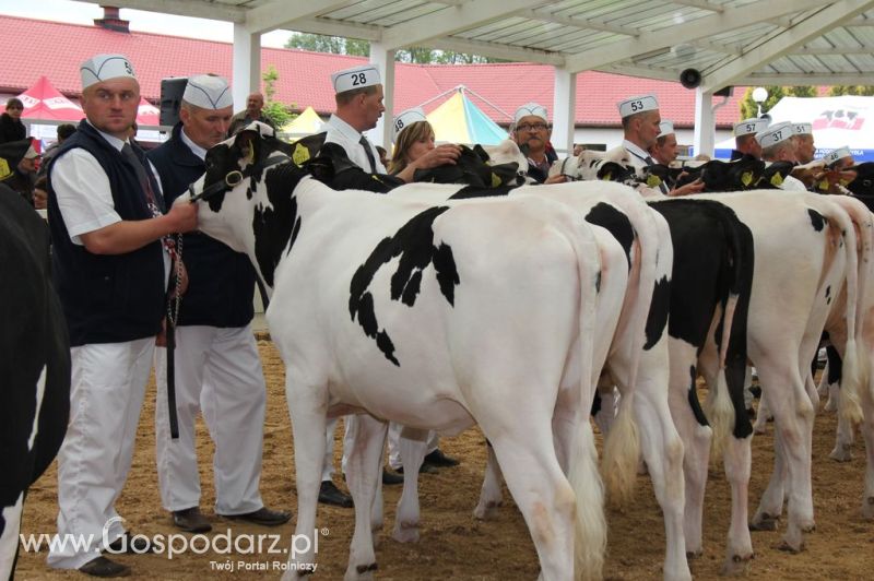 VII Ogólnopolska Wystawa Bydła Hodowlanego - Sielinko 2012