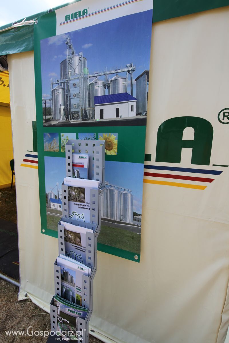 Riela na OPOLAGRZE 2015