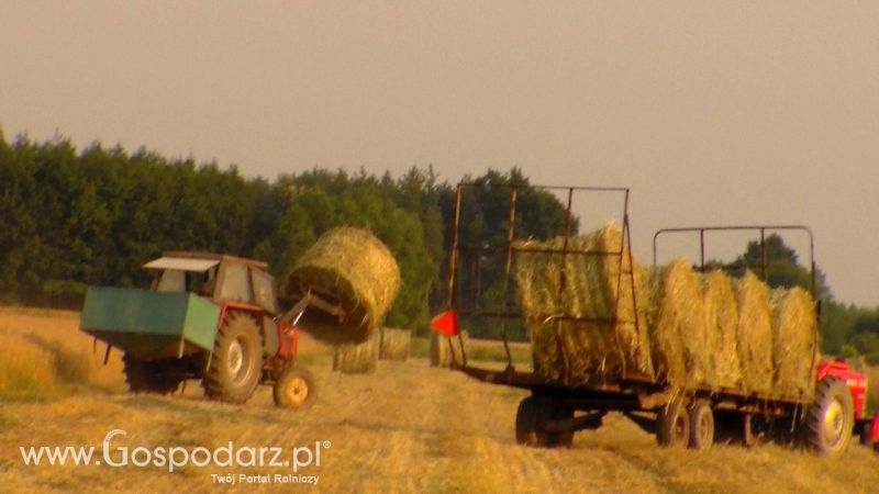 Zbiór Słomy 2013