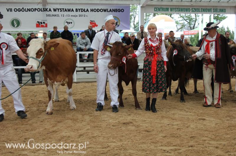 Prezentacja Championów na VII Ogólnopolskiej Wystawie Bydła Hodowlanego w Sielinku 2012
