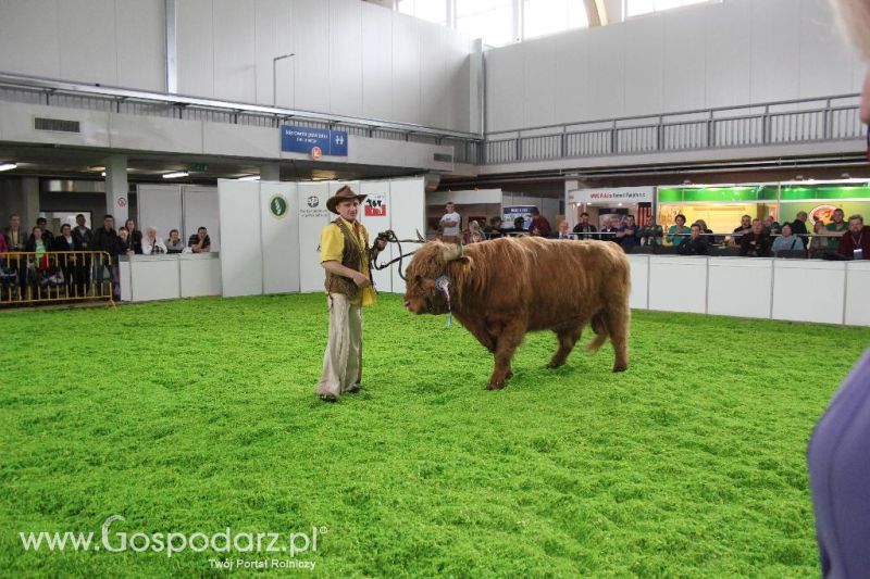 XXVI Krajowa Wystawa Zwierząt Hodowlanych - sobota i niedziela