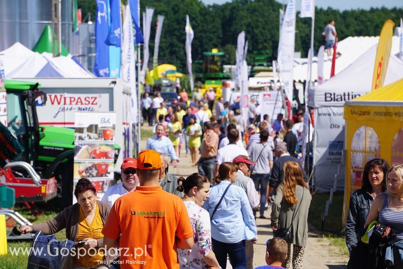 Targi rolne w Szepietowie (27-28.06.2015)