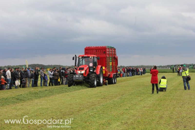 Pokazy maszyn Polskie Zboża Zielone Agro Show 2013