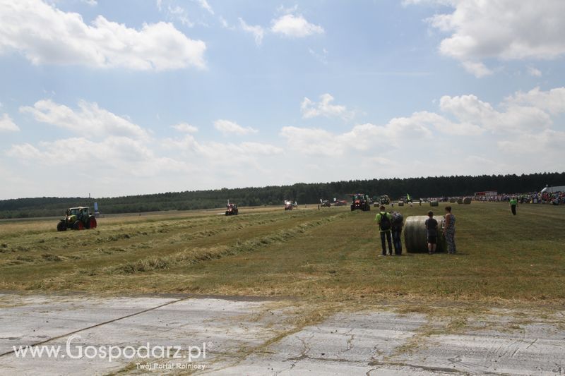 OPOLAGRA 2015 w Kamieniu Śląskim