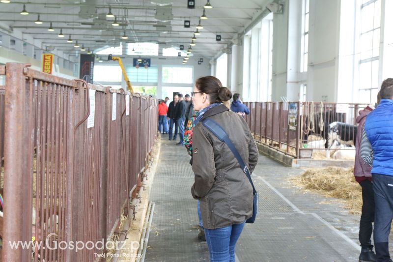 Krajowa Wystawa Zwierząt Hodowlanych w Poznaniu 2017 (niedziela, 7 maja)