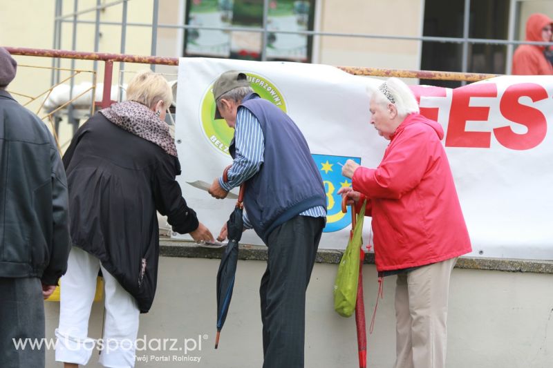 Festiwal Wieprzowiny w Bełżycach - niedziela